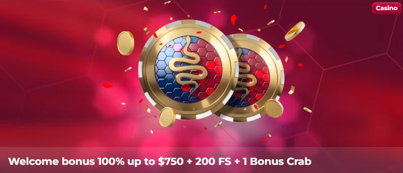 ViperWin Casino Welcome Bonus