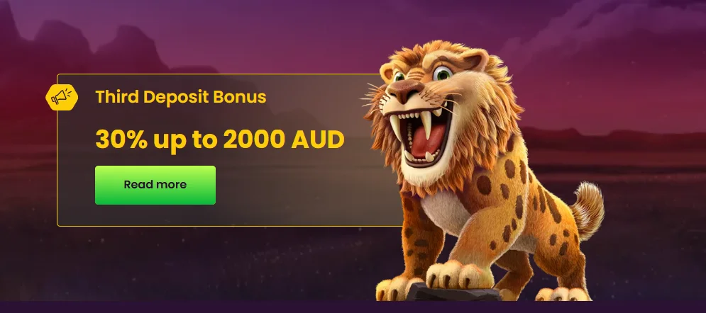 Bizzo Casino Third Deposit Bonus